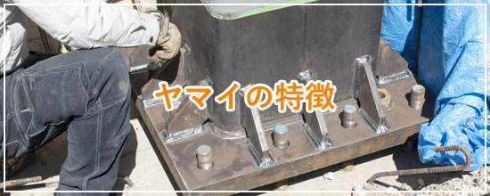 ヤマイの特徴